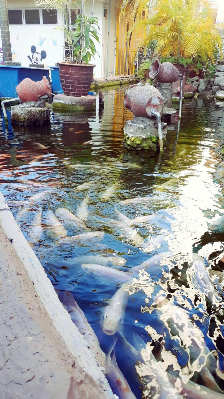 Ocean View Resort Fy Resident พอร์ตดิ๊กสัน ภายนอก รูปภาพ